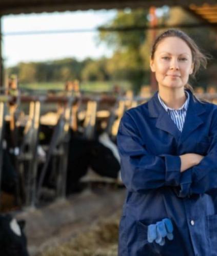 Actualité : indemnités journalières pour les non-salariés agricoles