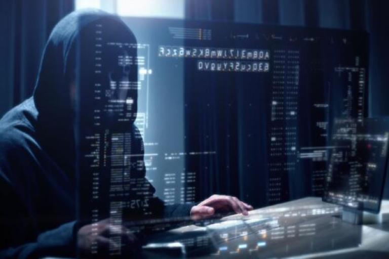 Actualité : URSSAF et fraudes