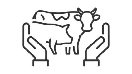 Actualité : mesures d'aide