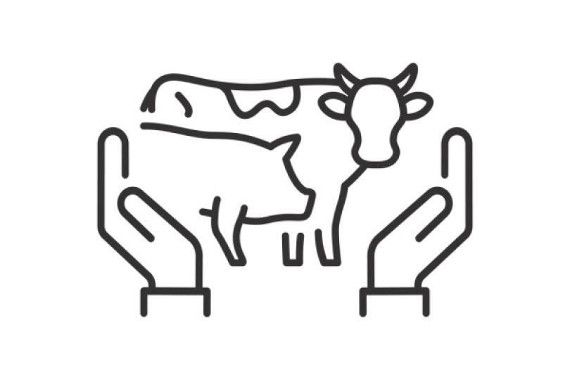 Actualité : mesures d'aide