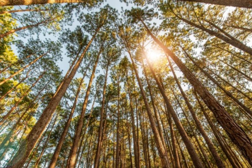 Actualité : taux tva réduit agriculture